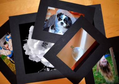 Collage of various photographs.